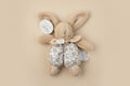 Doudou Lapin pm